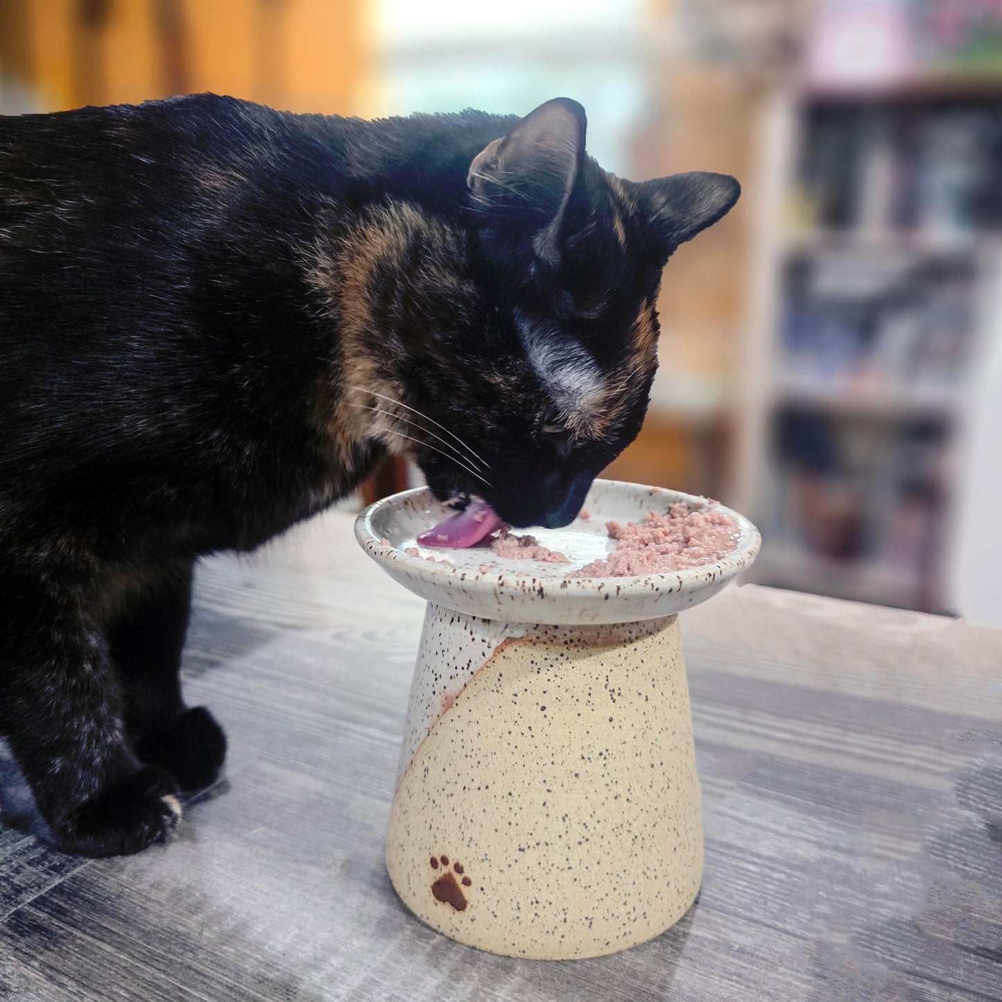 Elevated Whisker Friendly Cat Feeder