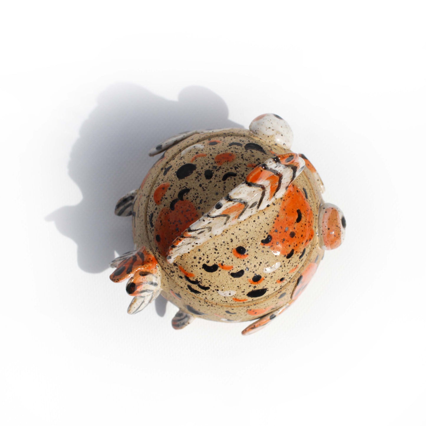 Calico Speckled Fancy Goldfish Jar