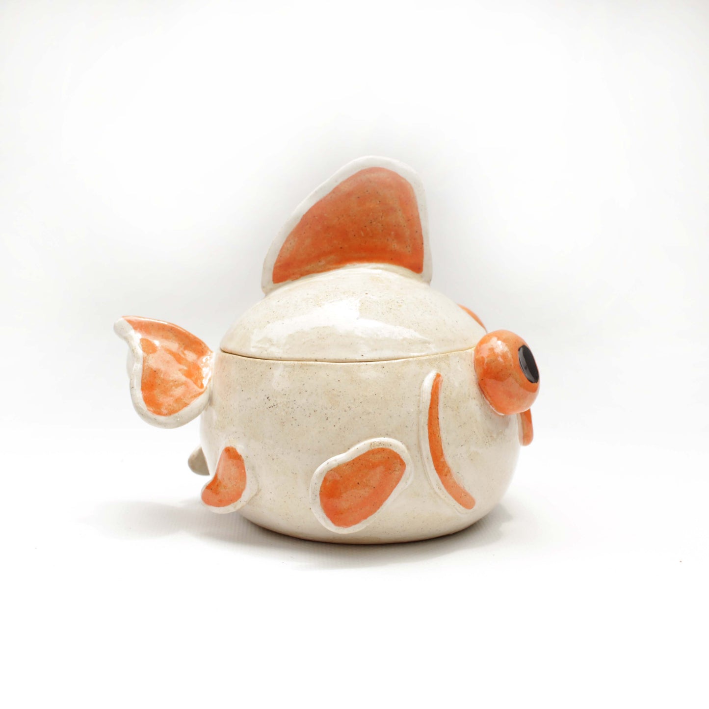 White and Orange Fancy Goldfish Jar