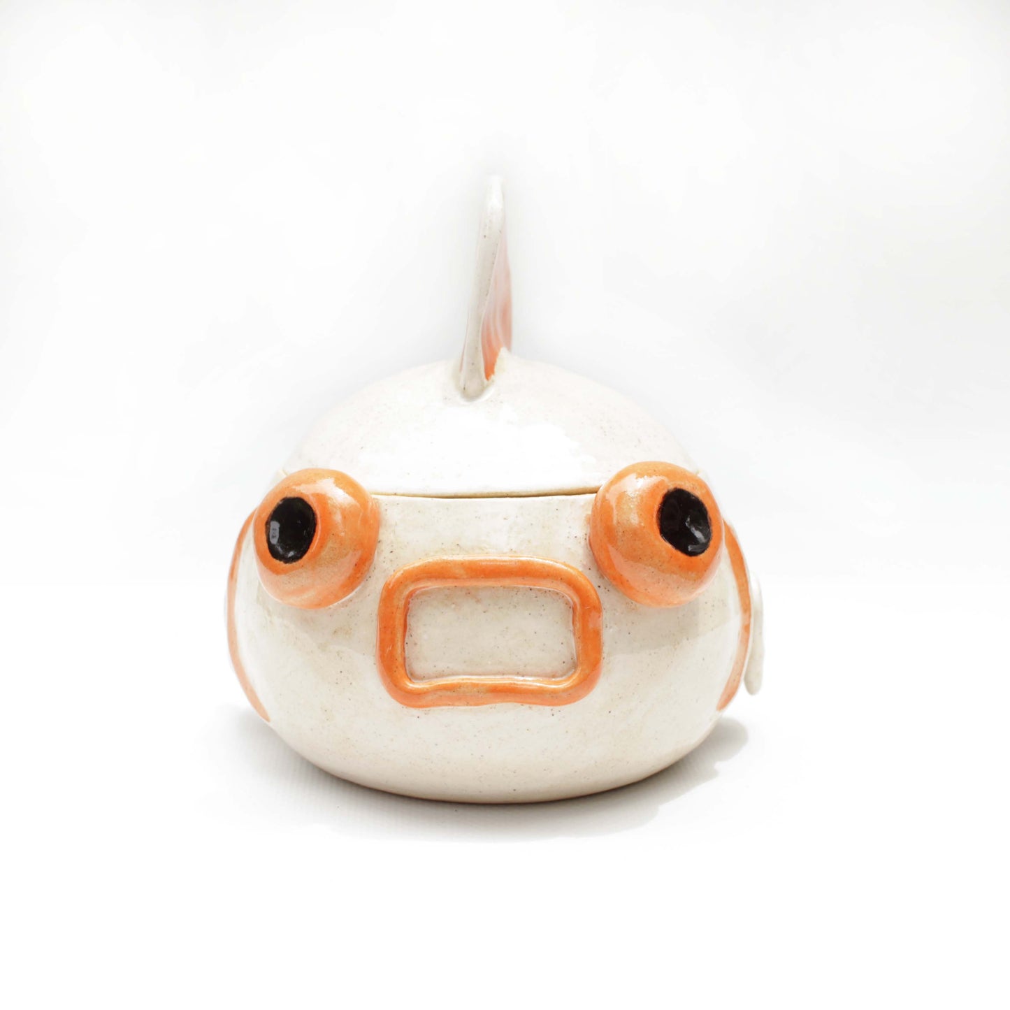 White and Orange Fancy Goldfish Jar