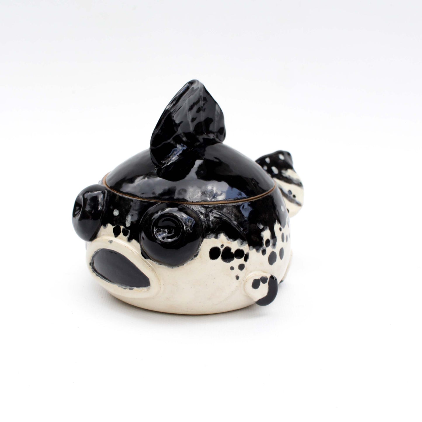 Black and White Fancy Goldfish Jar