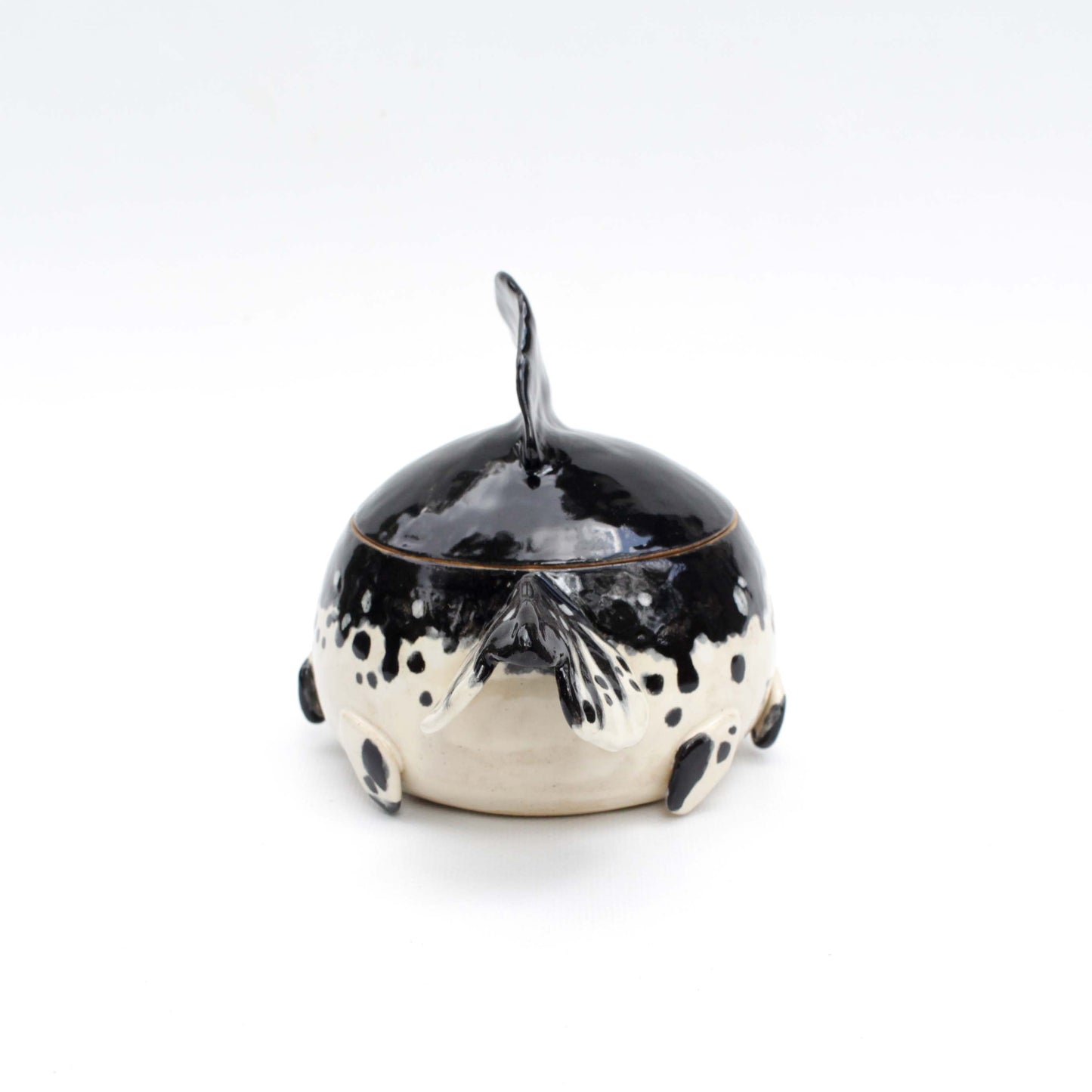 Black and White Fancy Goldfish Jar