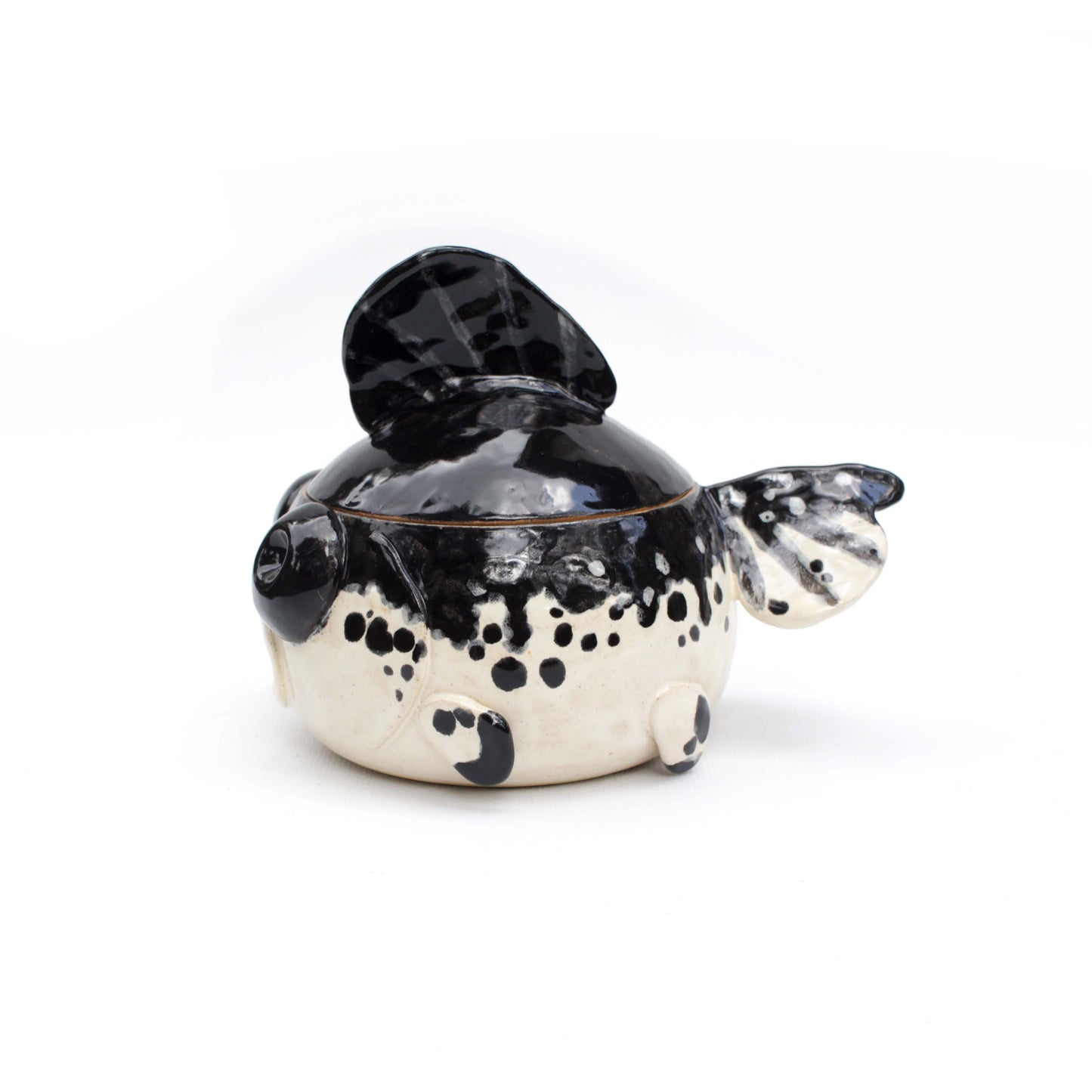 Black and White Fancy Goldfish Jar