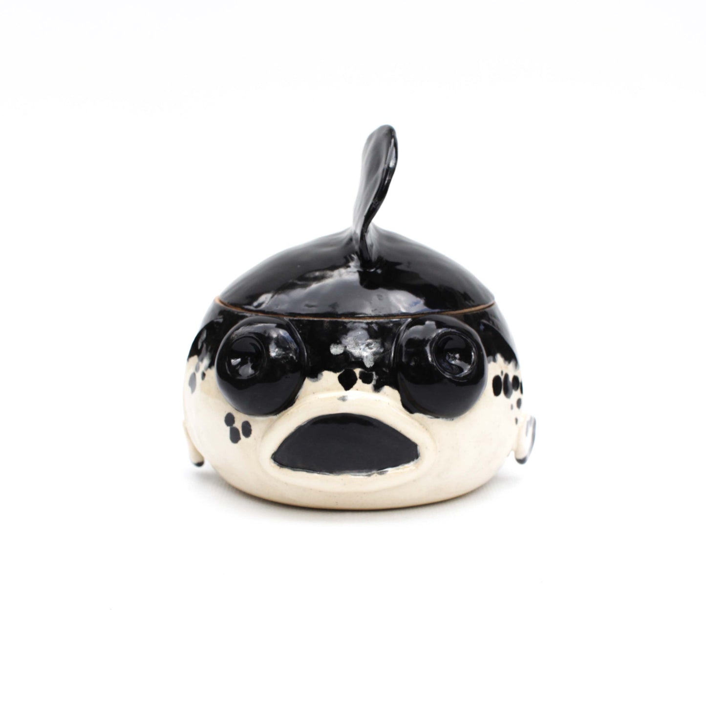 Black and White Fancy Goldfish Jar