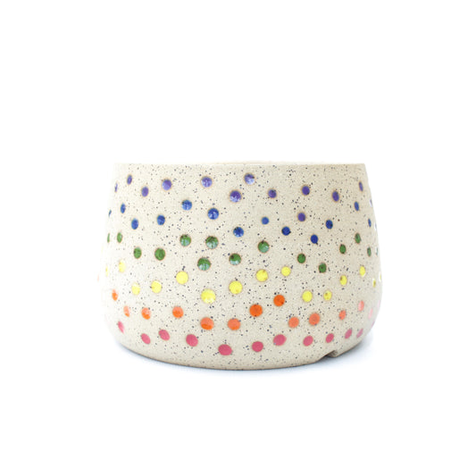 6" Rainbow Speckled Stoneware Planter Pot