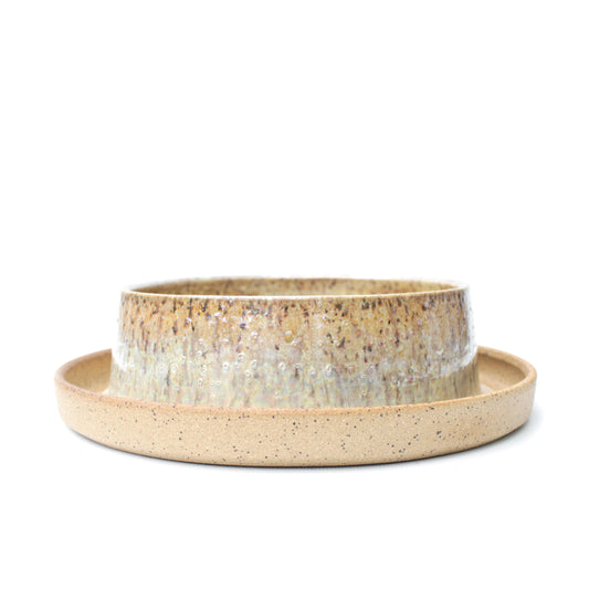 8.75" Speckled Stoneware Planter Pot with Water Reservoir