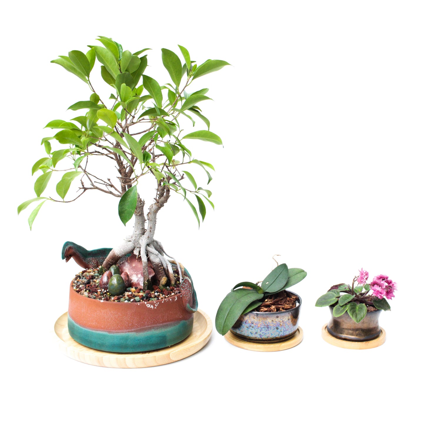 Bamboo Plant Pot Tray Saucer