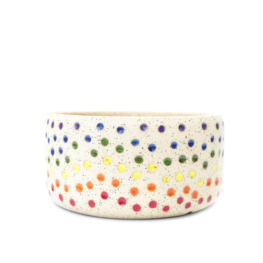 6" Rainbow Speckled Stoneware Planter Pot
