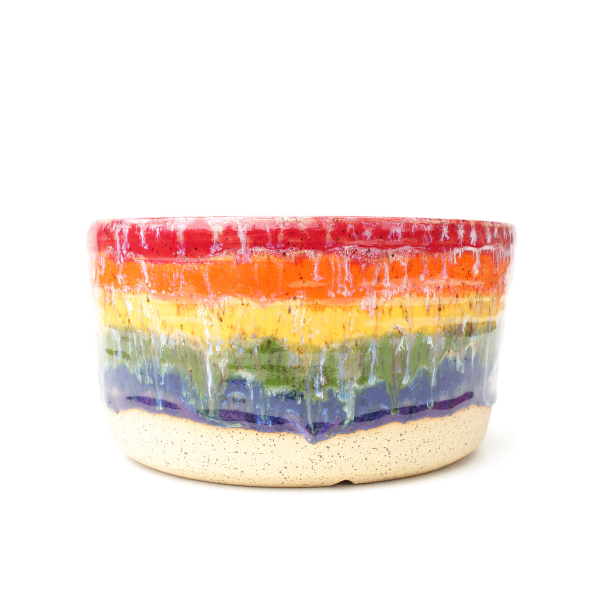 8" Rainbow Speckled Stoneware Planter Pot