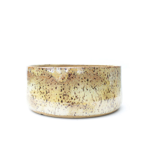 6.5" Cream Brown Speckled Stoneware Bonsai Pot